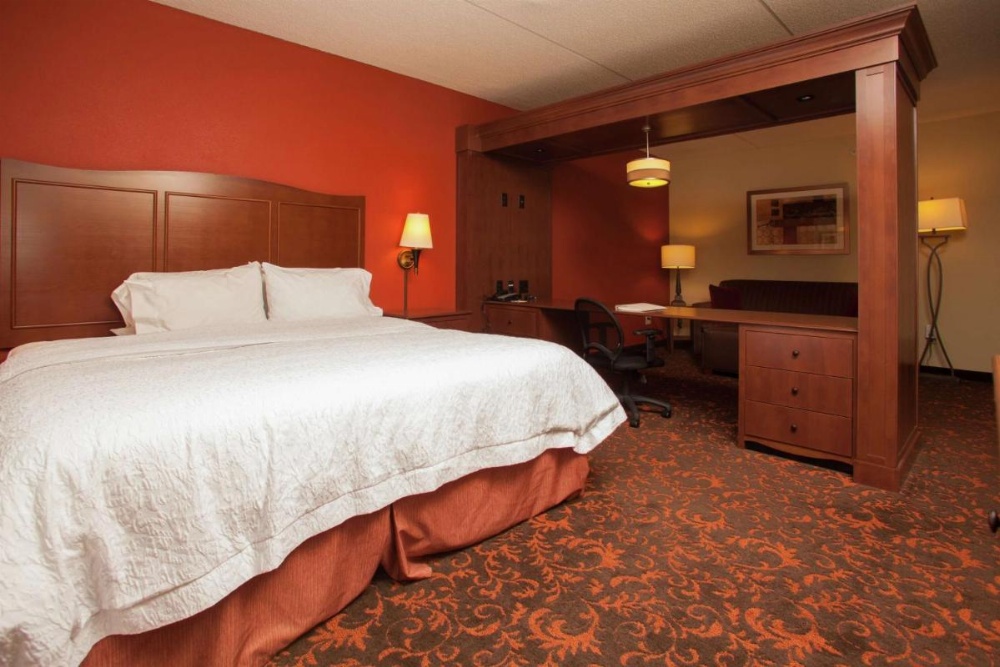 Hampton Inn By Hilton Elmira Image 41